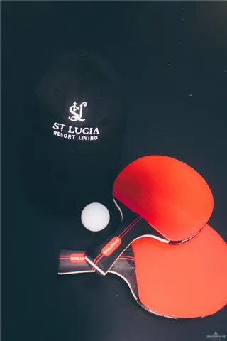 an aerial view of a pool table chairs and a fireplace