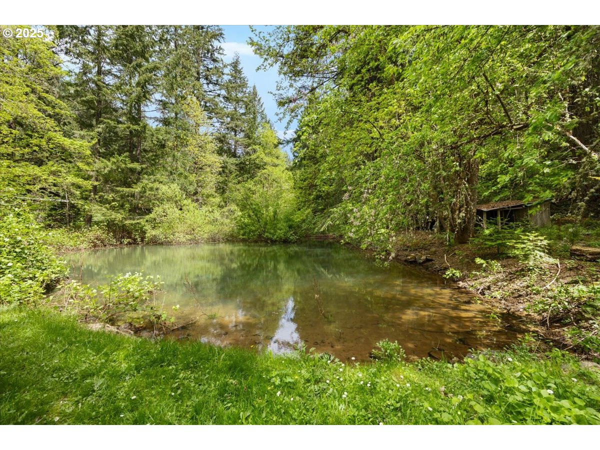 2128 Starveout Creek Road Azalea, OR 97410 - Photo 25 of 32