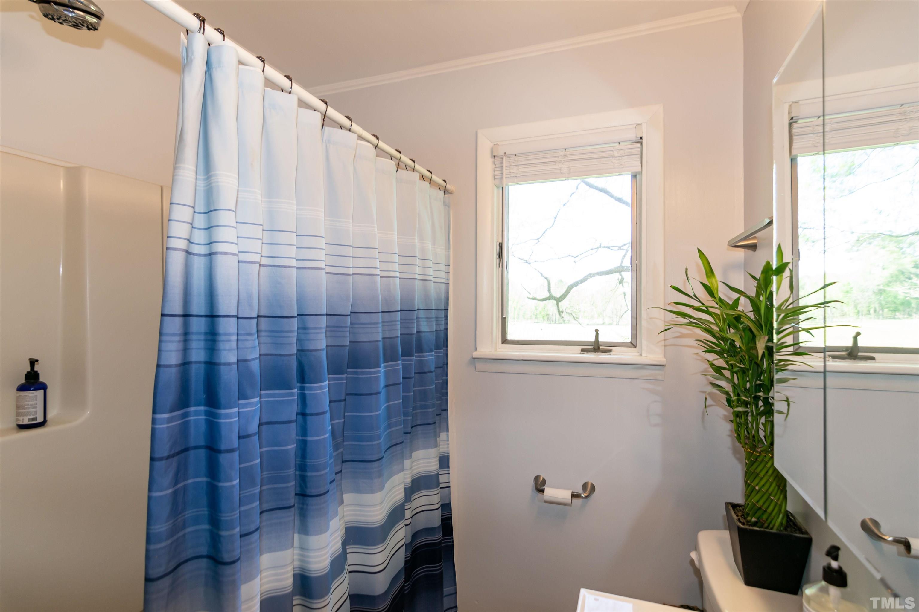 804 Stallings Road Durham, NC 27703 - Photo 32 of 37 a bathroom with a potted plant and a window