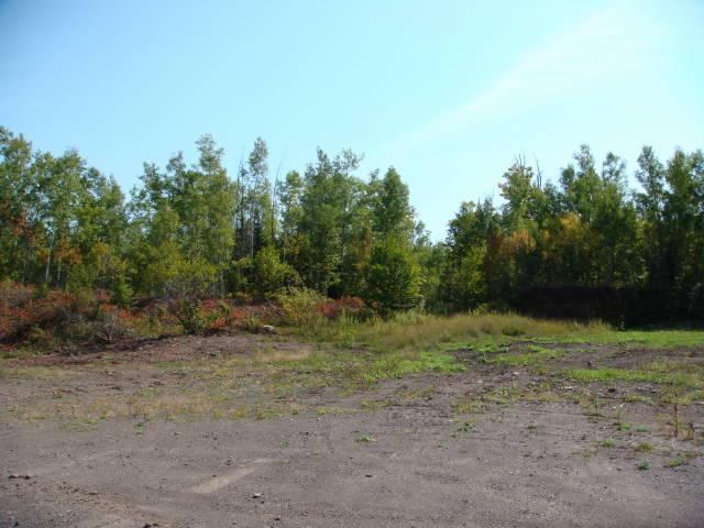 Lot B Lindgren Road Two Harbors, MN 55616 - Photo 4 of 6