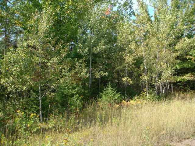 Lot B Lindgren Road Two Harbors, MN 55616 - Photo 5 of 6