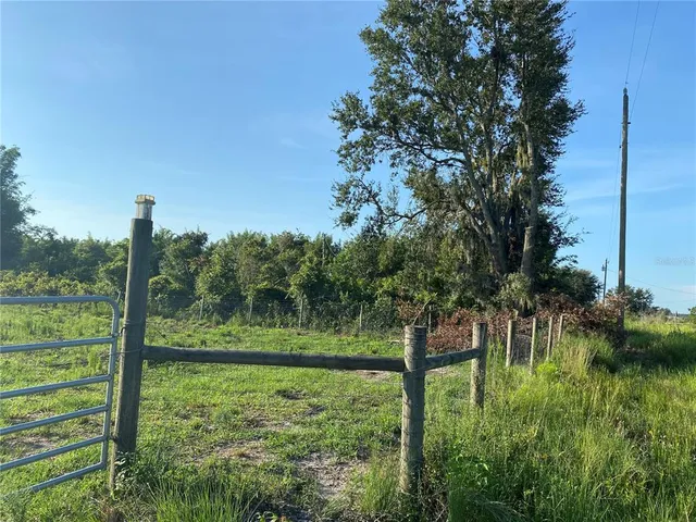 a large green field with lots of green space and trees in the background