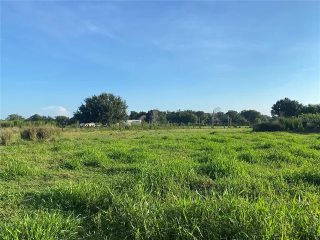 a view of a big yard with plants and large trees