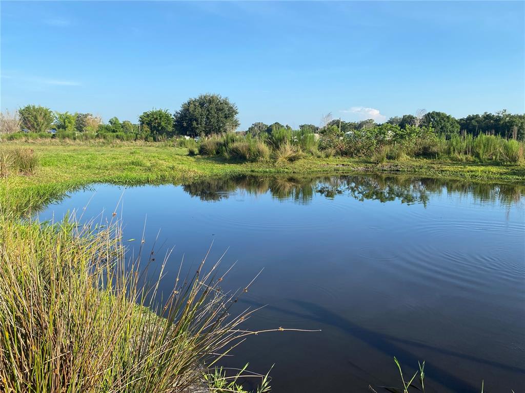 5187 Greenfields Run Zolfo Springs, FL 33890 - Photo 5 of 8 a view of a lake with a yard