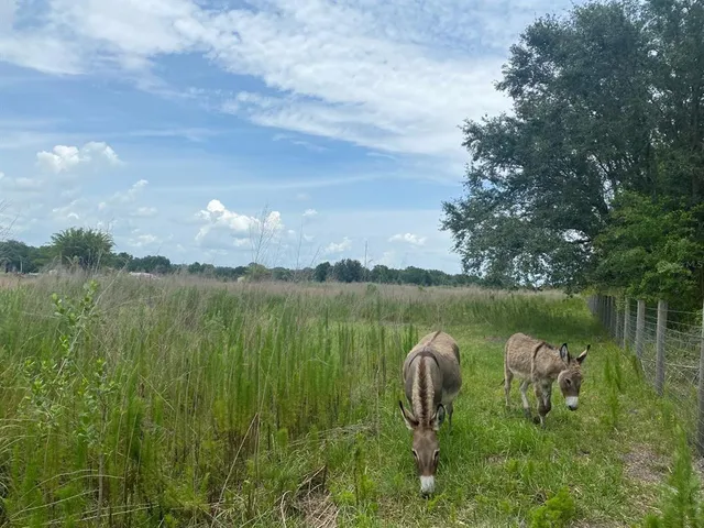 a lake view with a lake