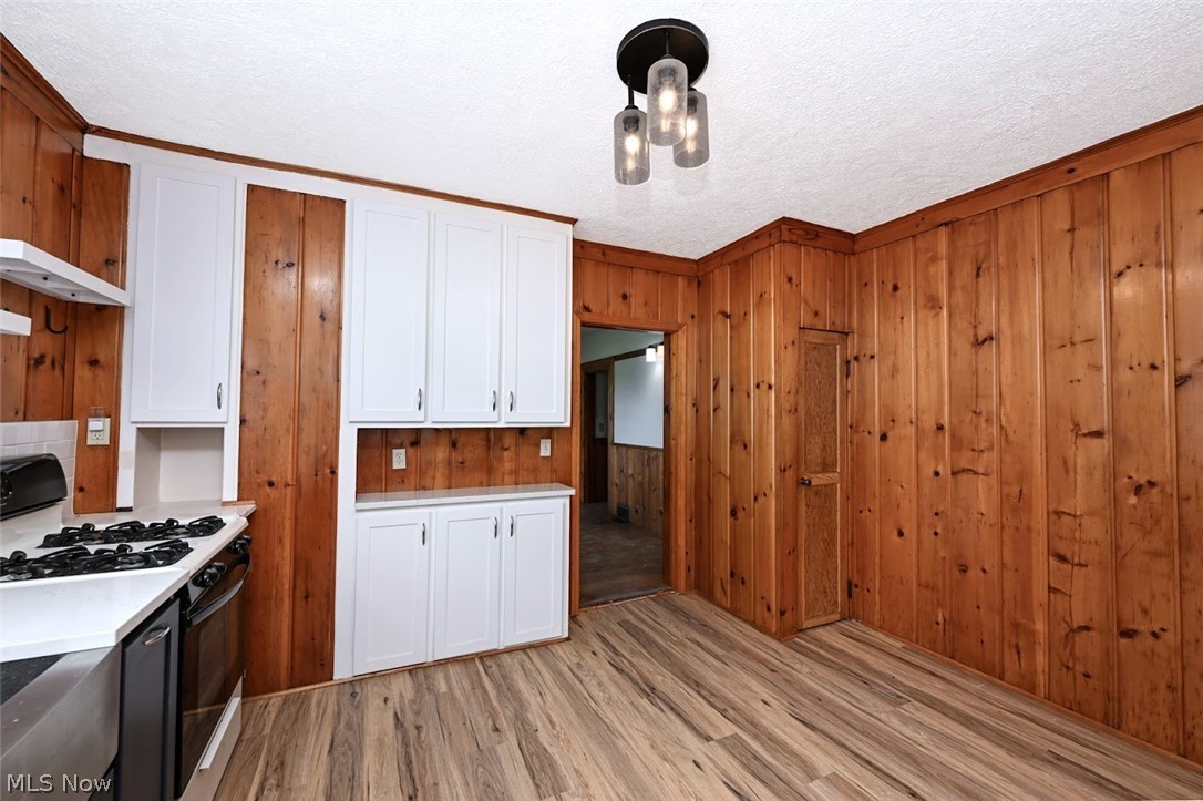 2559 Raber Road Uniontown, OH 44685 - Photo 21 of 41 *KITCHEN W/NAVY LOWER SOFT CLOSE CABINETS, WHITE TALL UPPER CABINETS, SUBWAY TILE BACKSPLASH, PANTRY, SPECKLED GLASS LIGHTING, FARMHOUSE SINK AND LUXURY PLANK FLOORING ~