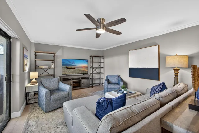 a view of a backyard with plants and large tree