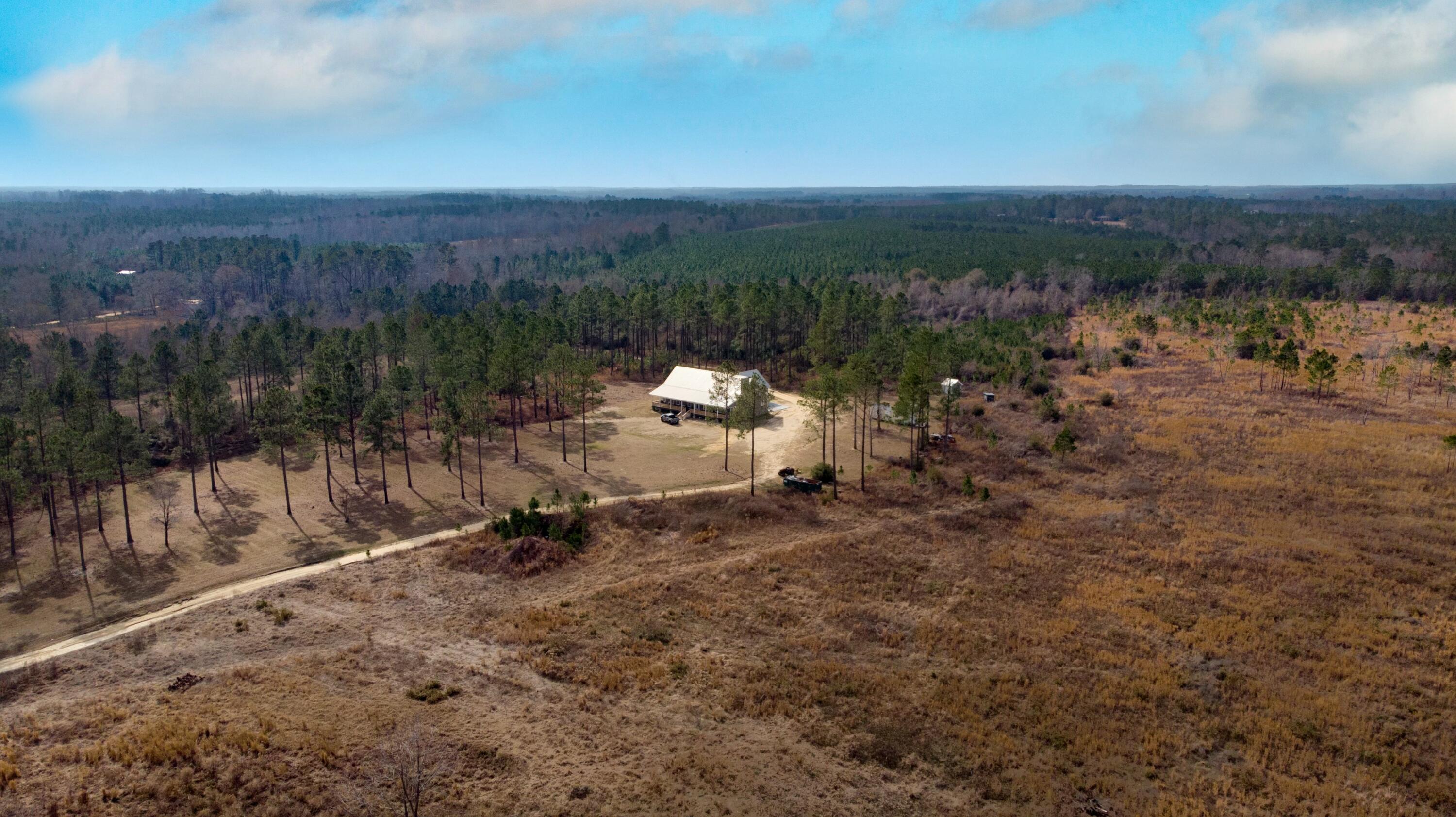 2039 Buttermilk Road Garfield, GA 30425 - Photo 37 of 44 tempImageDx05fS