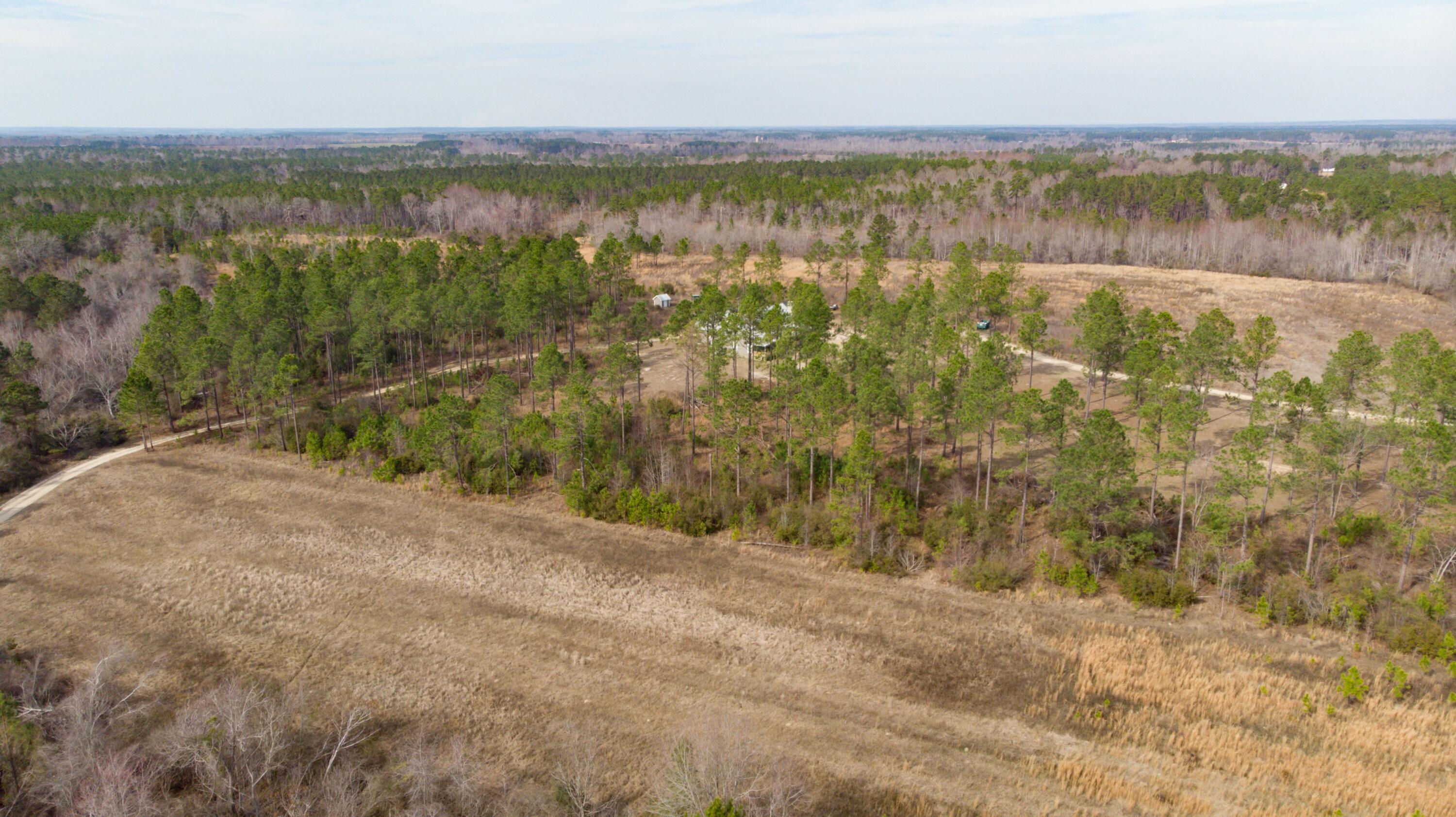 2039 Buttermilk Road Garfield, GA 30425 - Photo 43 of 44 tempImageRlRcJI