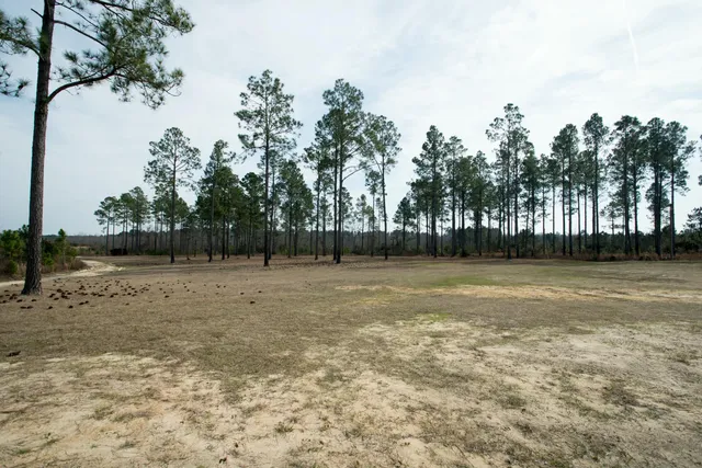 $750,000 | 2039 Buttermilk Road, Garfield, GA 30425