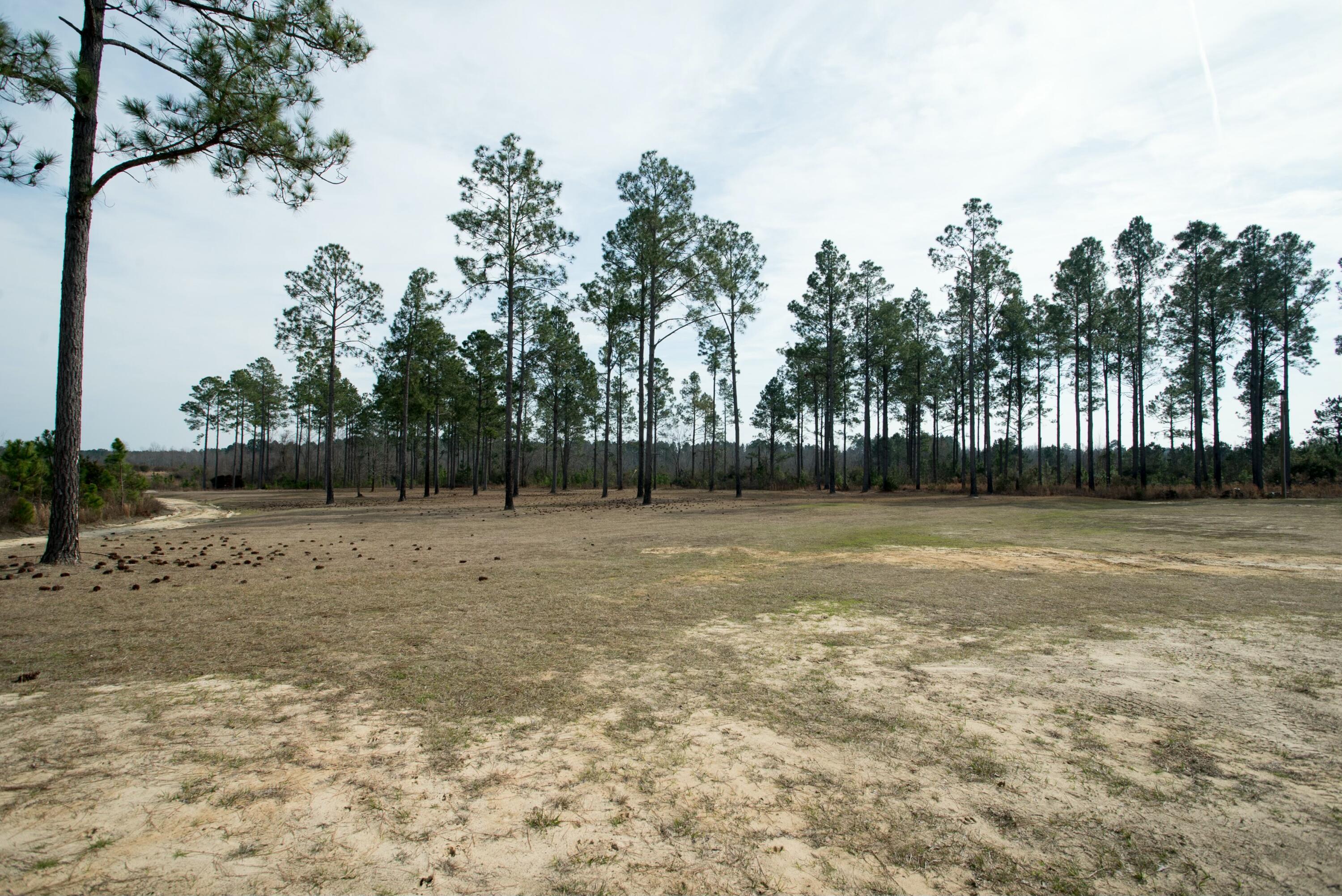 2039 Buttermilk Road Garfield, GA 30425 - Photo 44 of 44 tempImage8qIcaL