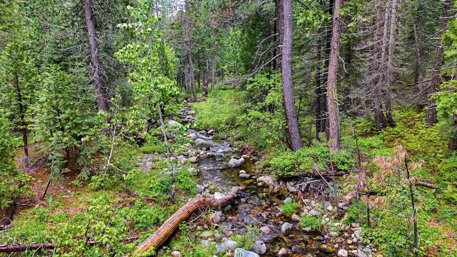0 Texas Hill Road Emigrant Gap, CA 95715 - Photo 3 of 24