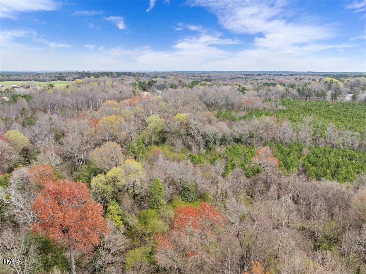 0 Warner Bridge Road Garysburg, NC 27831 - Photo 11 of 19 a view of a city and mountains
