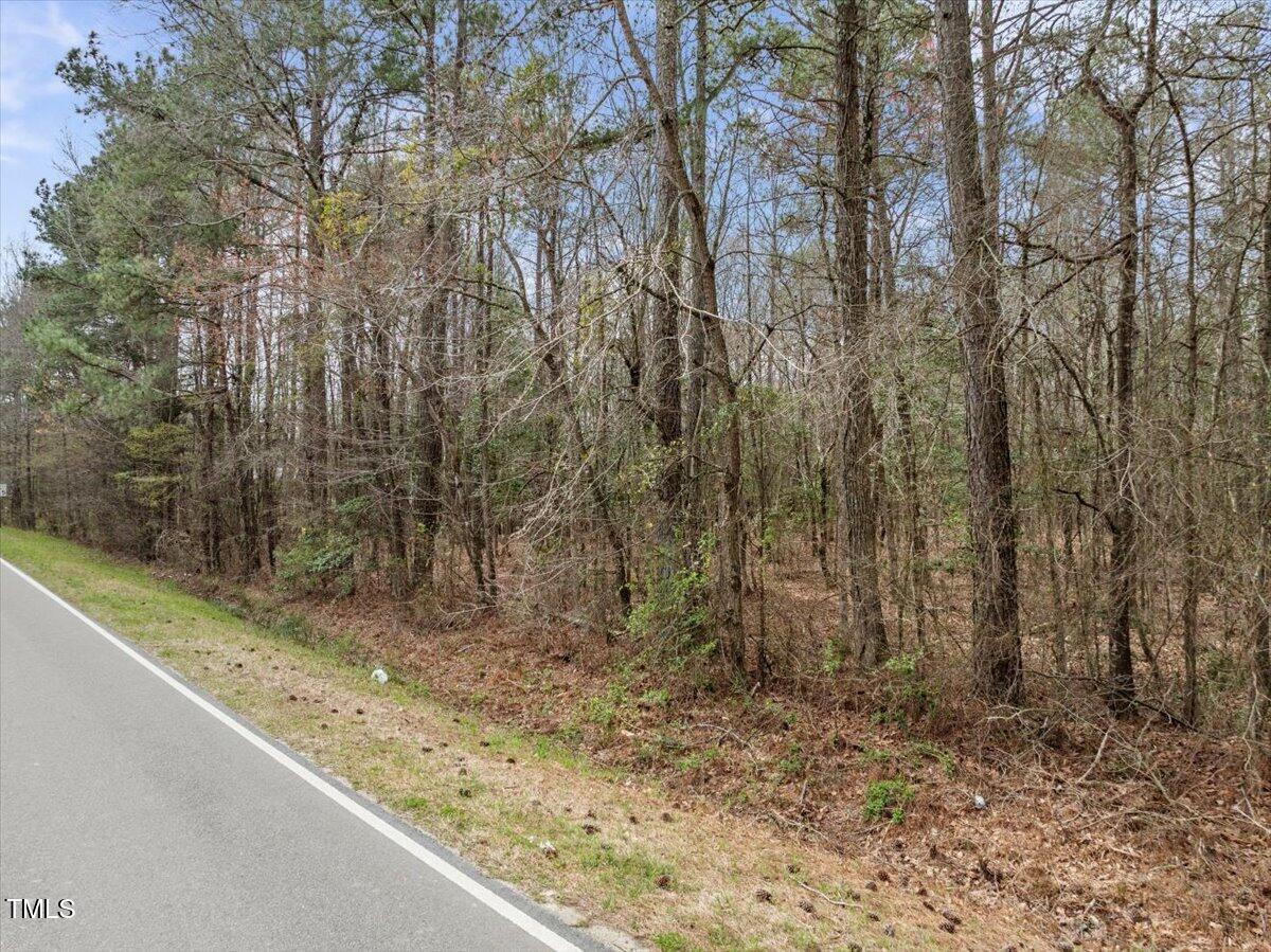 0 Warner Bridge Road Garysburg, NC 27831 - Photo 14 of 19 a view of a yard with trees in the background