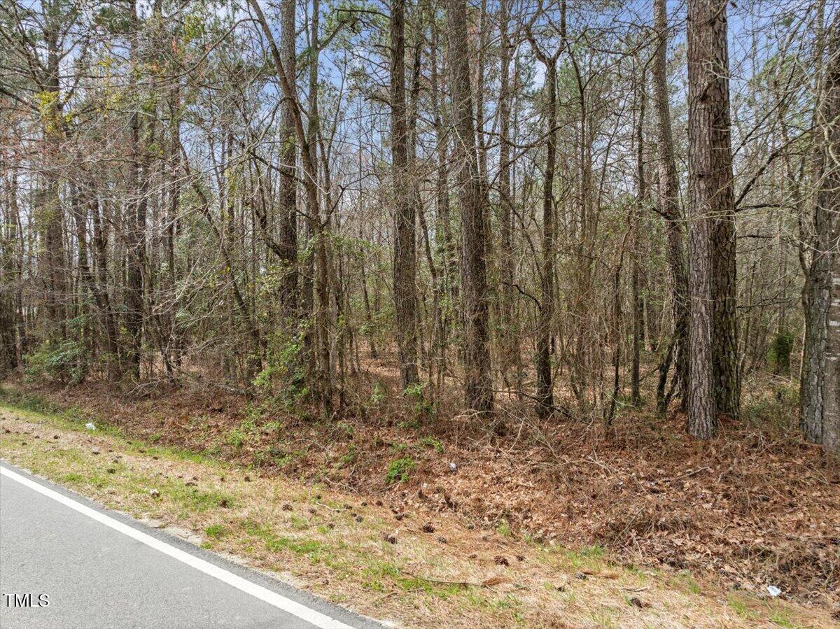 0 Warner Bridge Road Garysburg, NC 27831 - Photo 15 of 19 a view of a backyard of the house