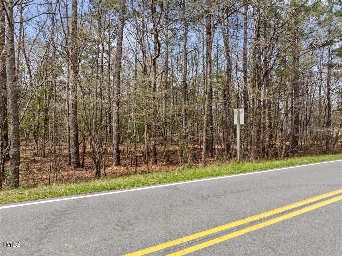 0 Warner Bridge Road Garysburg, NC 27831 - Photo 16 of 19 a view of a yard with a palm trees