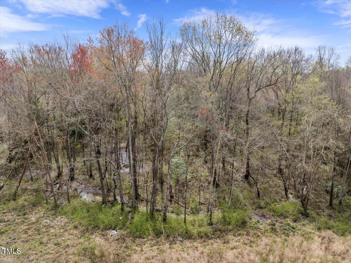 0 Warner Bridge Road Garysburg, NC 27831 - Photo 17 of 19 a view of a forest with a dry yard