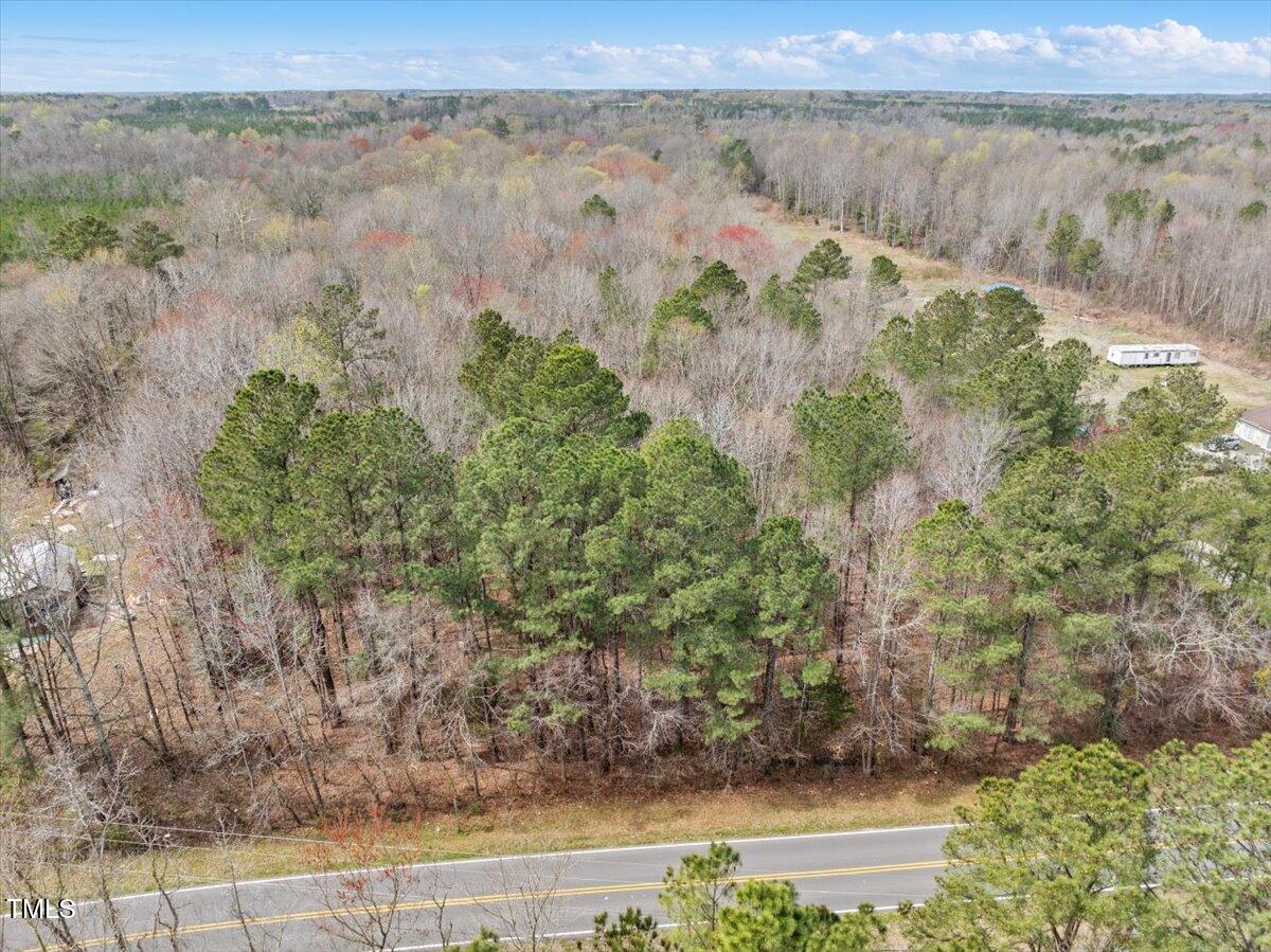 0 Warner Bridge Road Garysburg, NC 27831 - Photo 18 of 19 an aerial view of mountain with trees