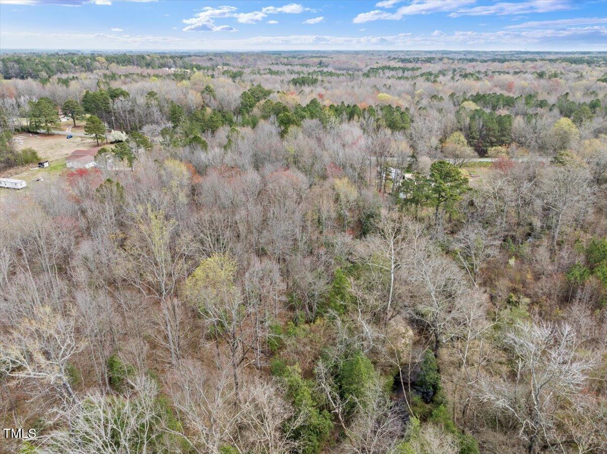 0 Warner Bridge Road Garysburg, NC 27831 - Photo 7 of 19 a view of a city with lush green forest