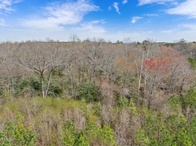 a view of city and mountain
