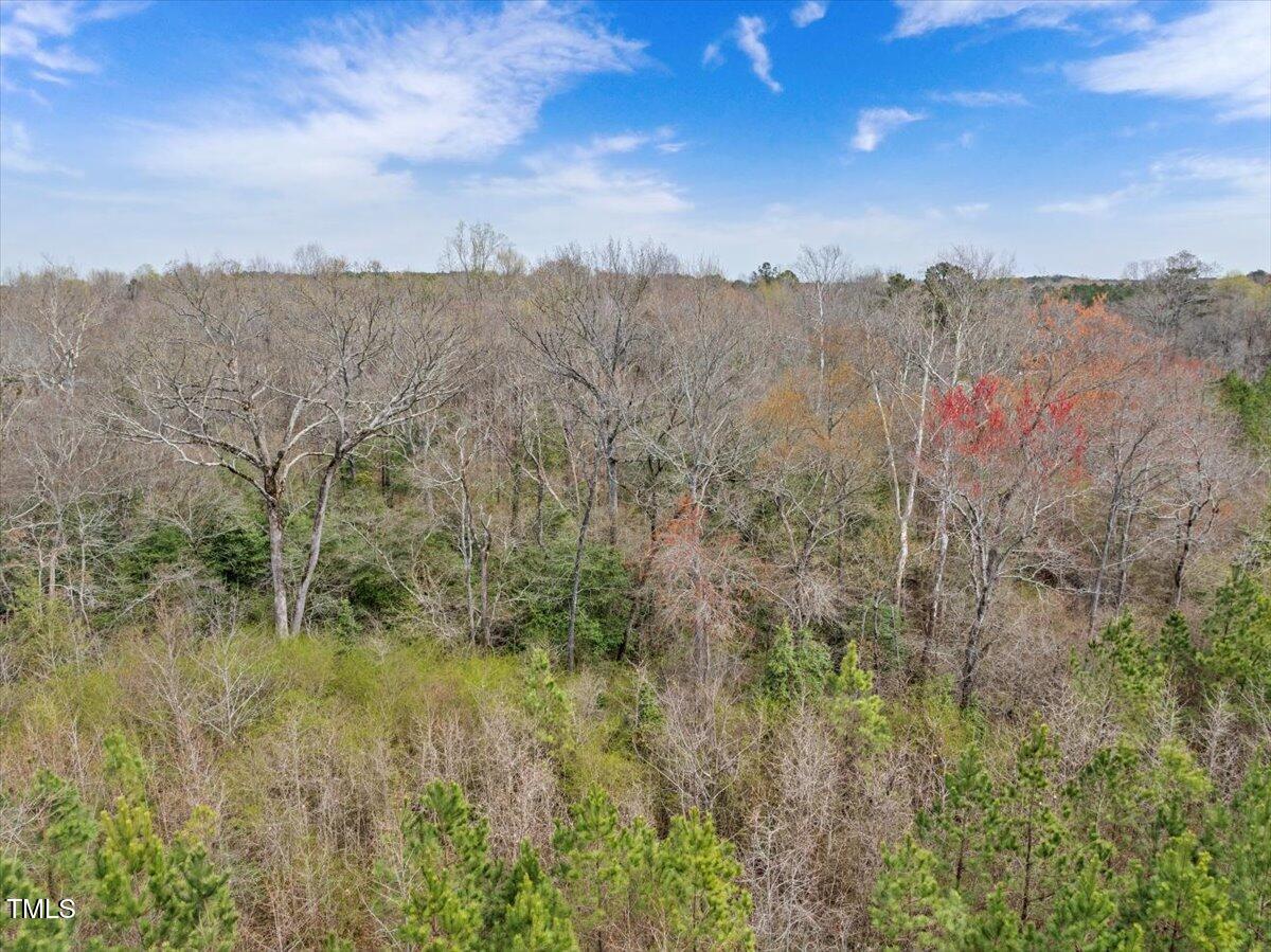 0 Warner Bridge Road Garysburg, NC 27831 - Photo 9 of 19 a view of city and mountain