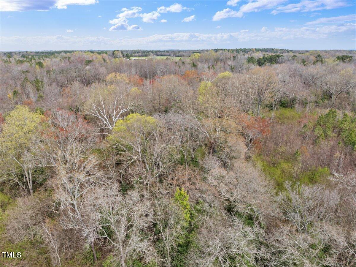 0 Warner Bridge Road Garysburg, NC 27831 - Photo 10 of 19 a view of a lake from a yard
