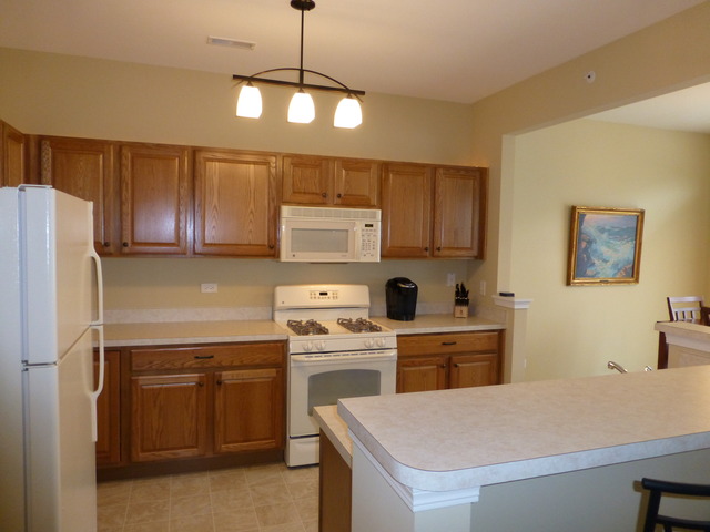 13531 Hemlock Road Huntley, IL 60142 - Photo 8 of 11