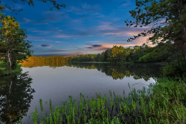 a view of a lake with a garden and trees