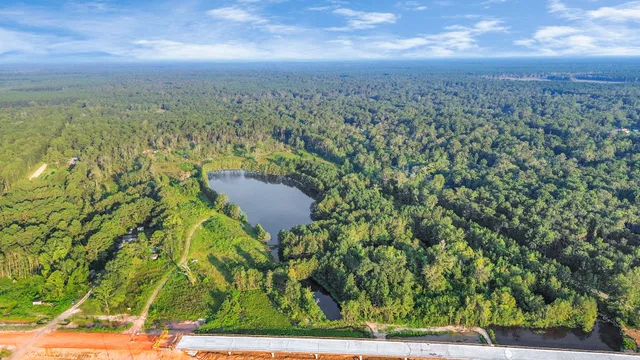 a bird view of a garden