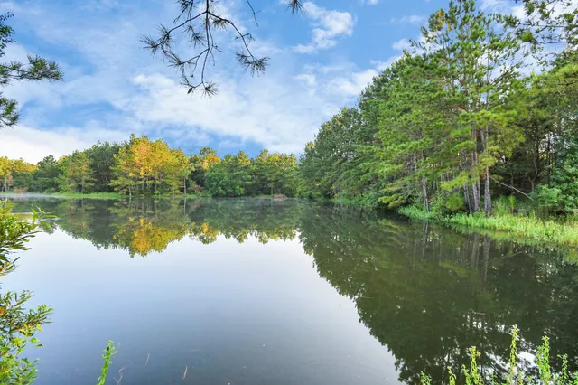 a view of a lake with a mountain in the background