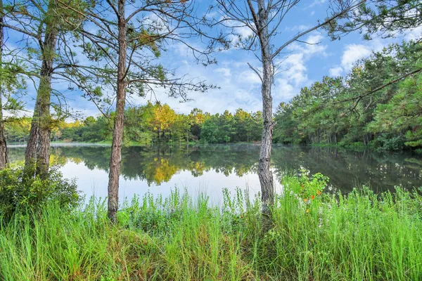 a view of lake