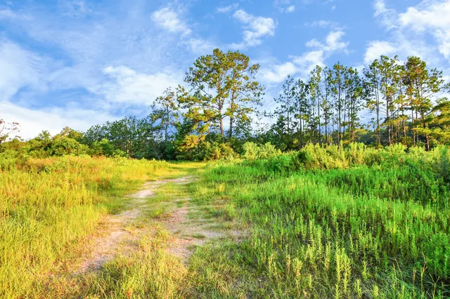a view of a fountain