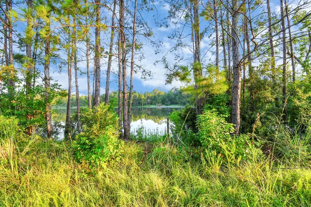 a view of a yard with an outdoor space