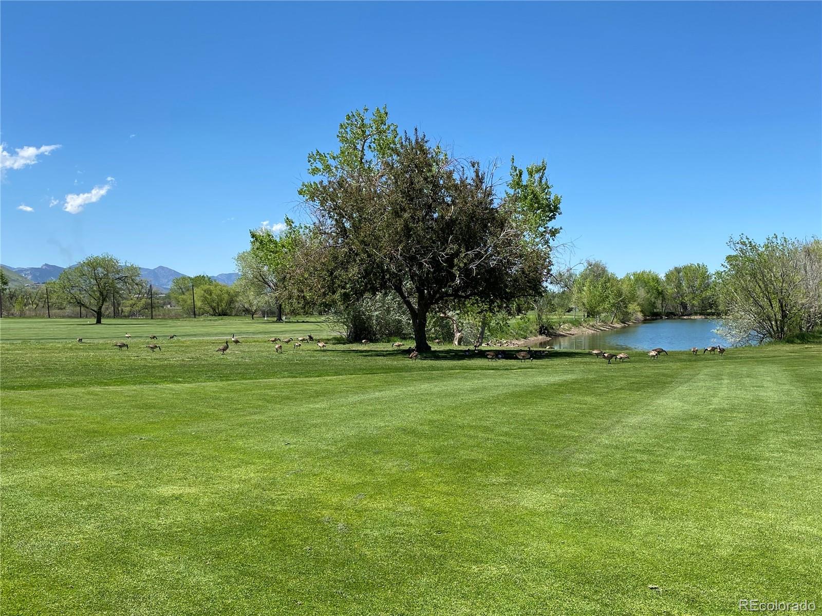3530 Nelson Street Wheat Ridge, CO 80033 - Photo 38 of 39 Gallery Image 38