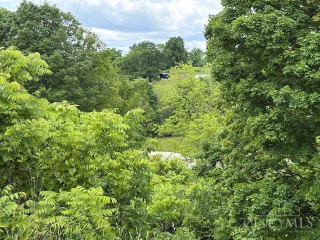 5778 Blue Rock Hill Road Cincinnati, OH 45247 - Photo 4 of 11