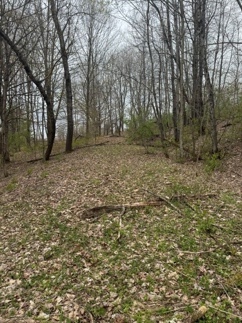 Lot 4 Shaver Hill Road Meridale, NY 13806 - Photo 5 of 44
