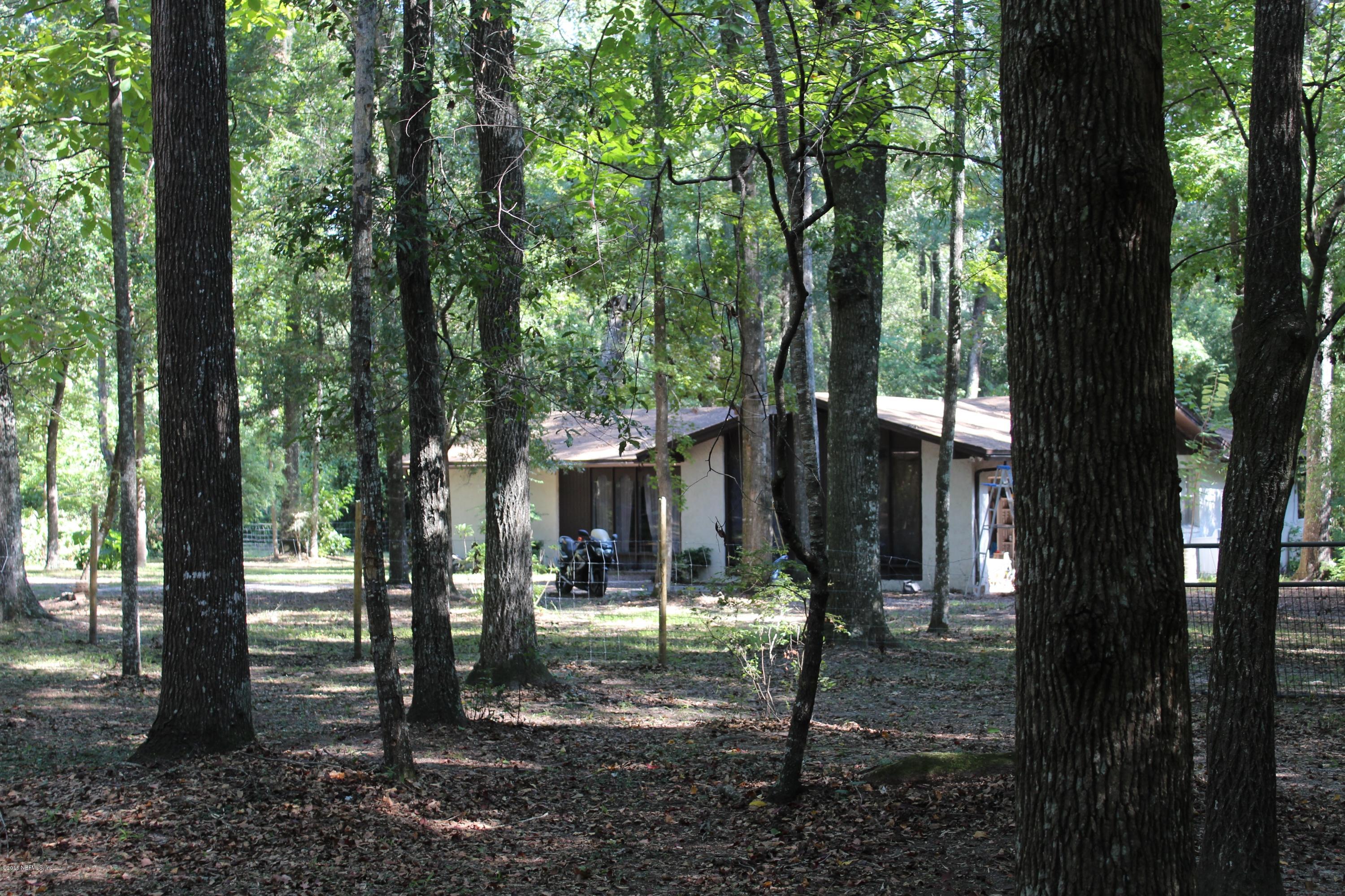 738 Branscomb Road Green Cove Springs, FL 32043 - Photo 3 of 9 Lots of Shade Trees