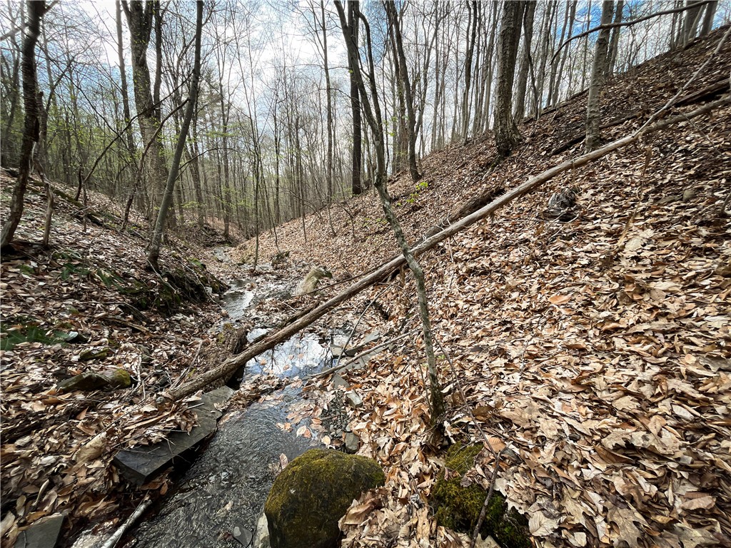 West Creek Road Richford, NY 13835 - Photo 15 of 44