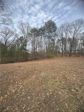 a view of a yard with a tree
