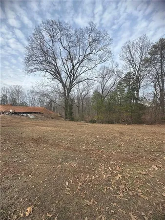 a view of dirt field with trees