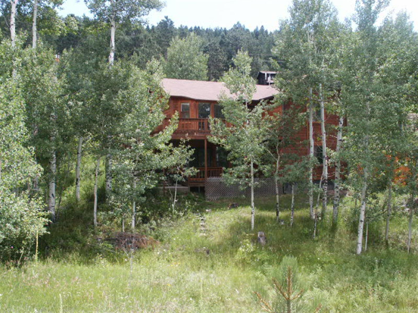 156 Silver Springs Road Bailey, CO 80421 - Photo 1 of 1 Gallery Image 1