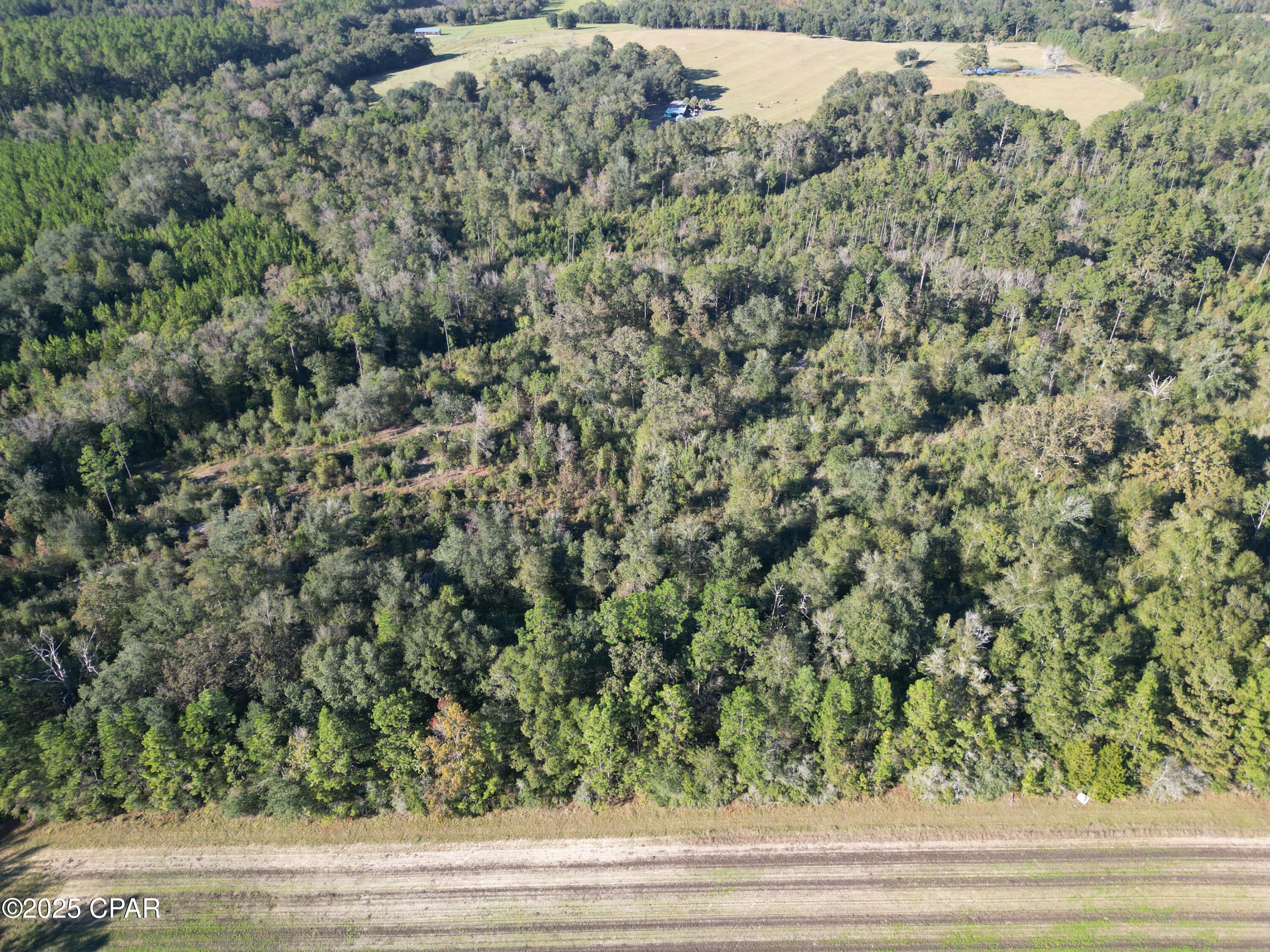 0 Arrant Road Westville, FL 32464 - Photo 7 of 28