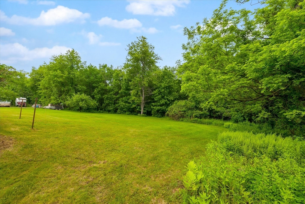 40 North Fitzwilliam Road Royalston, MA 01368 - Photo 38 of 42 a view of a field with a tree