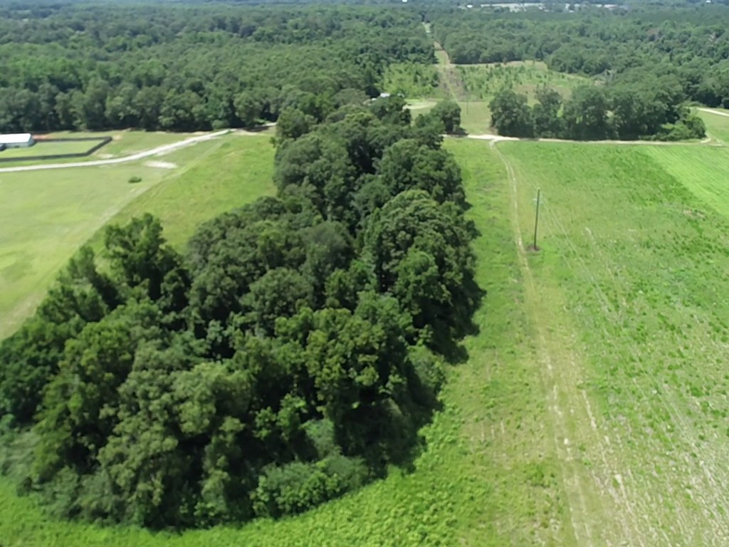 16-ac 16-ac National Road Dothan, AL 36301 - Photo 42 of 45