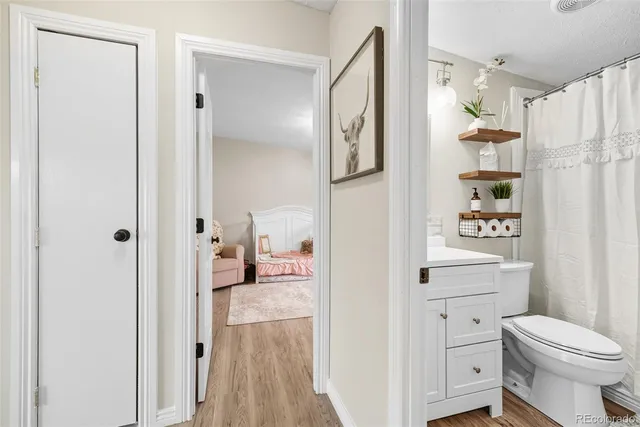 a bathroom with a sink a toilet and shower curtain