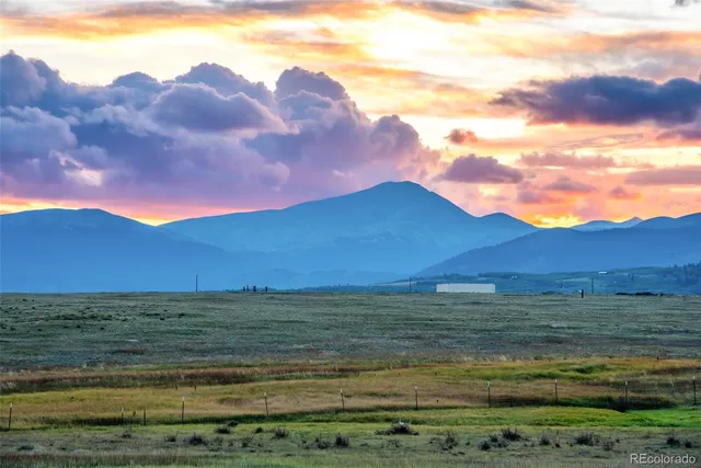 a view of a backyard with plants and a lake
