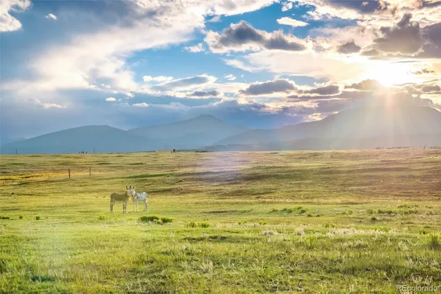 a view of a city with ocean view
