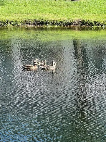 $449,900 | 1063 Paseo Del Rio Northeast, St. Petersburg, FL 33702