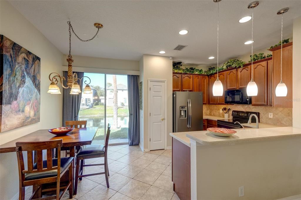 1063 Paseo Del Rio Northeast St. Petersburg, FL 33702 - Photo 5 of 54