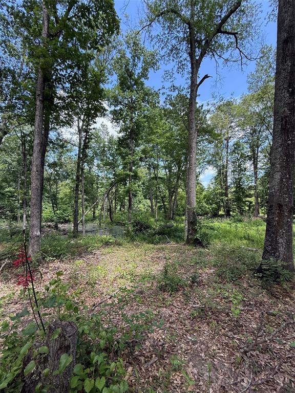 1332 Elysian Fields Marshall, TX 75672 - Photo 2 of 15